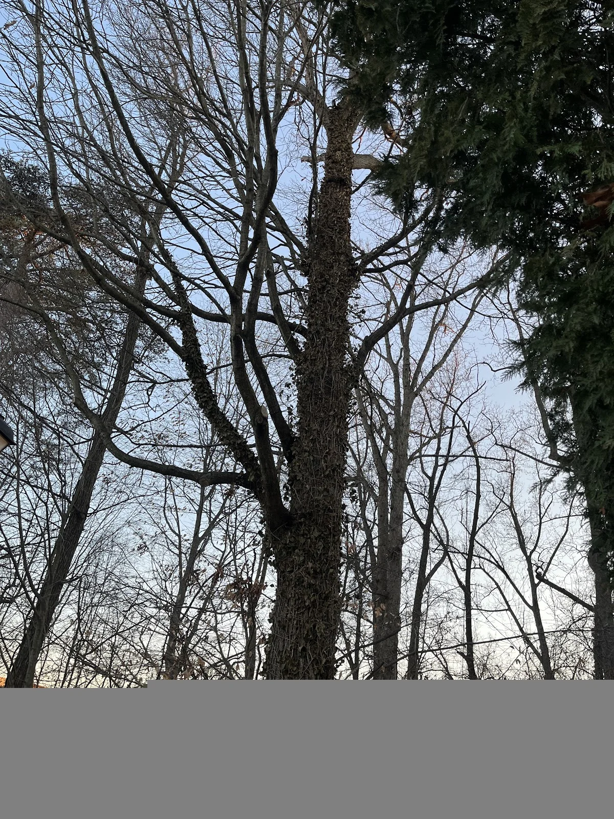 Joani the Interventionist CIP Alc/Drug/Process interventionist - Photo 5