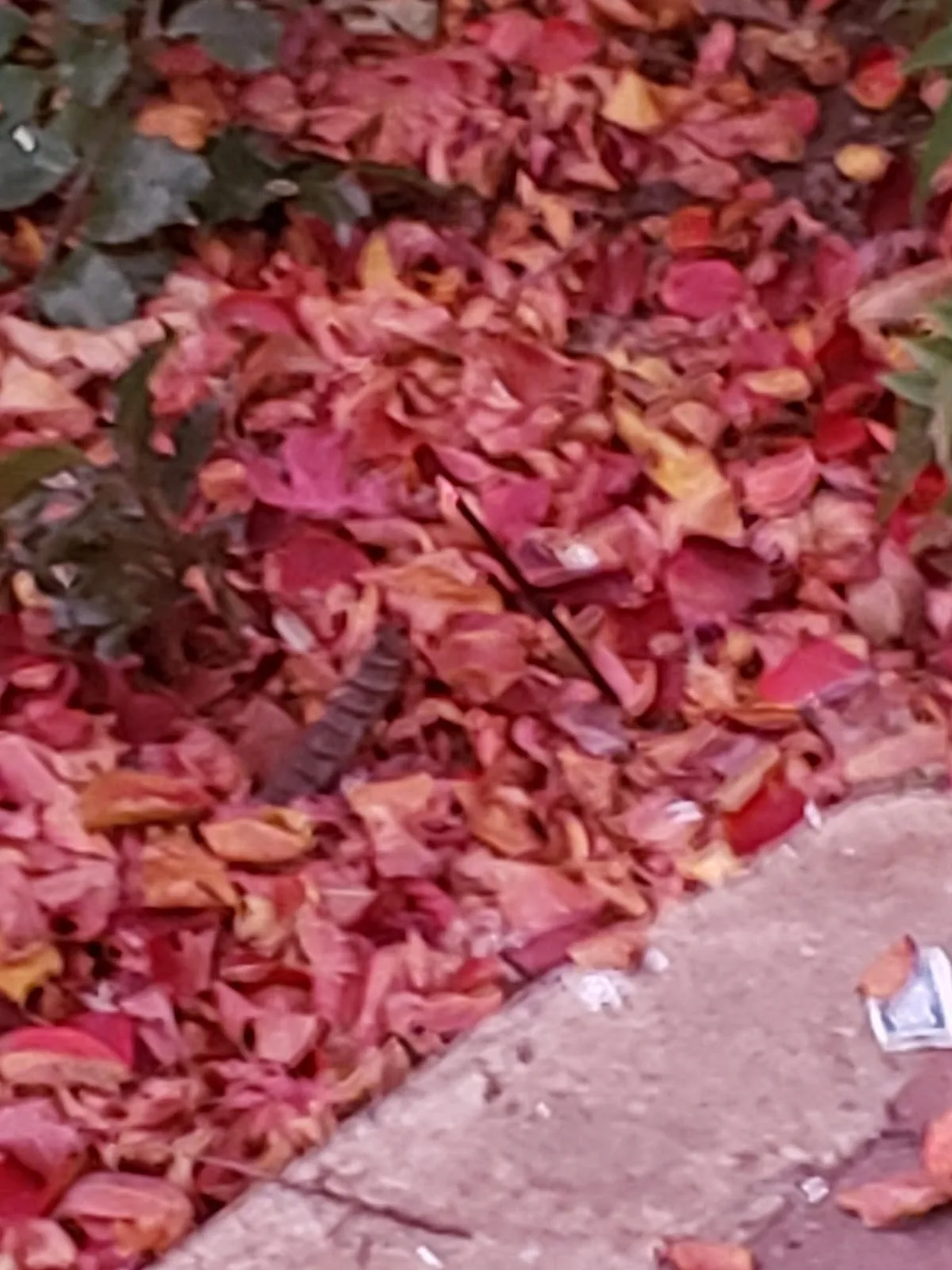 My Sister's Place Lodge - Photo 4