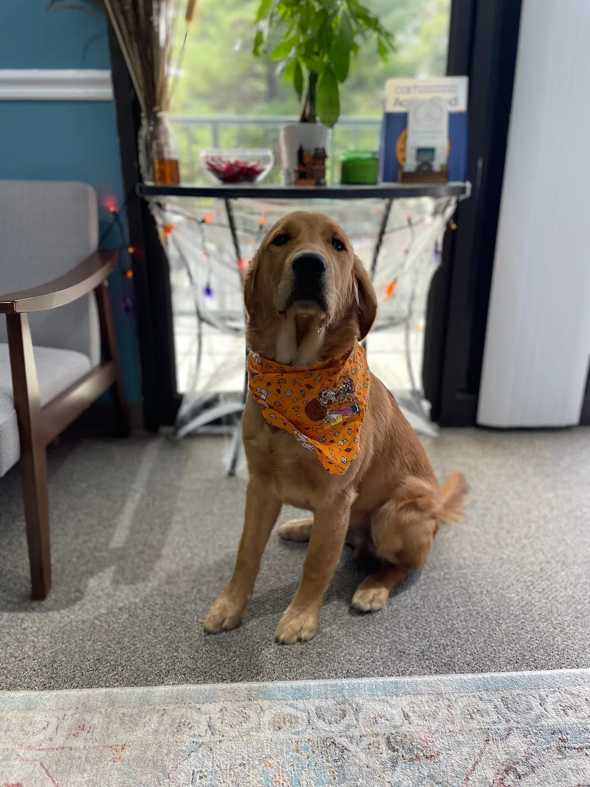 The Refuge by Lotus Psychotherapy - Photo 3