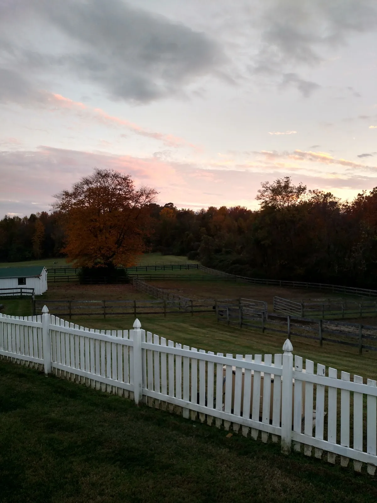 Wellness House of Annapolis - Photo 4