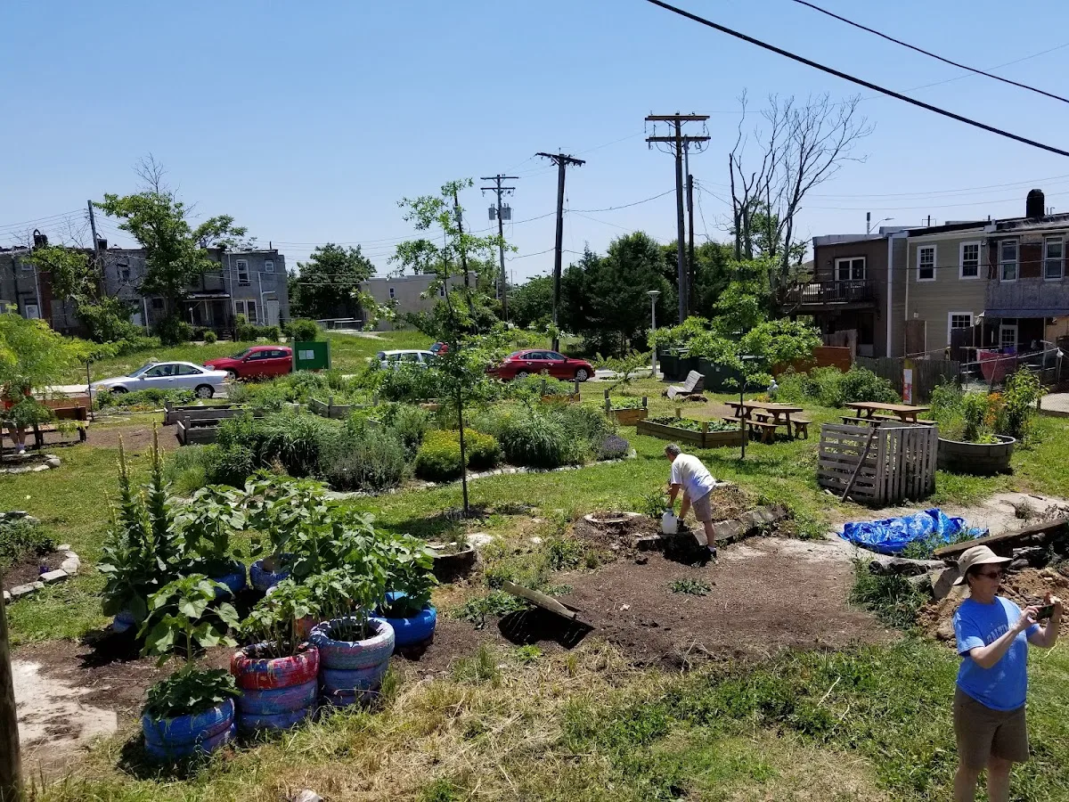 Dayspring Program - Photo 5