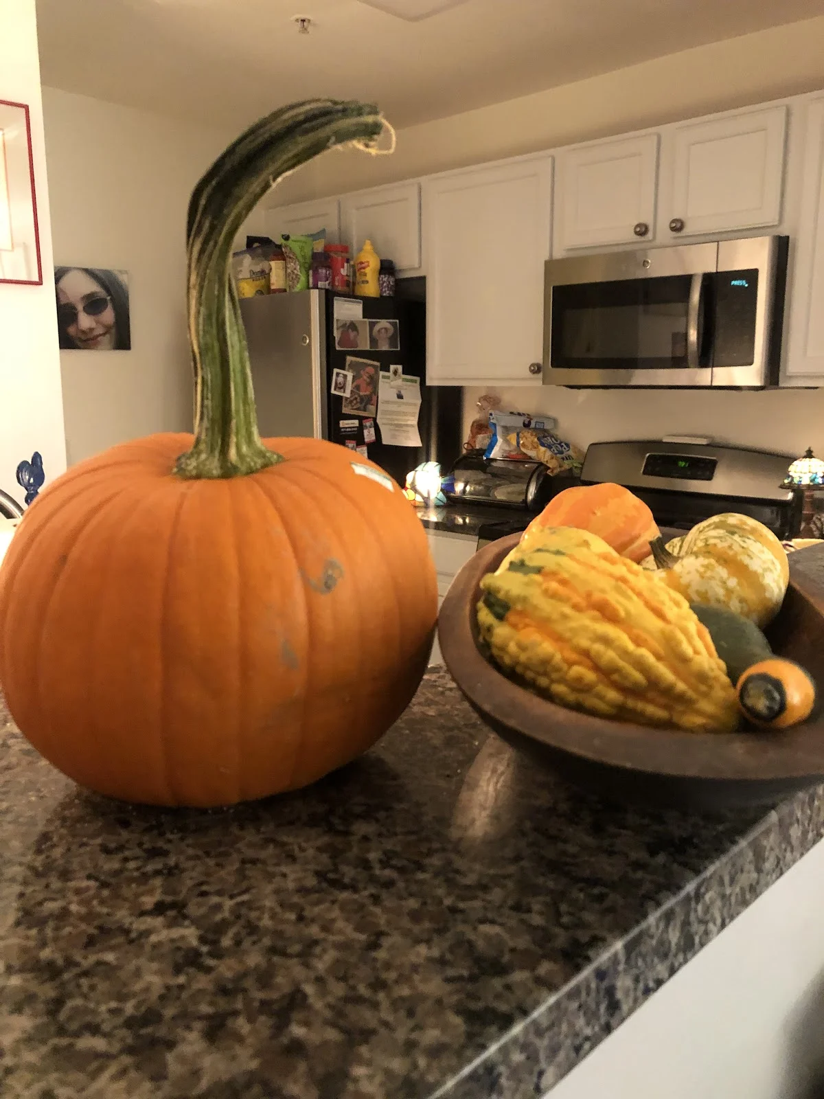 Joani the Interventionist CIP Alc/Drug/Process interventionist - Photo 4